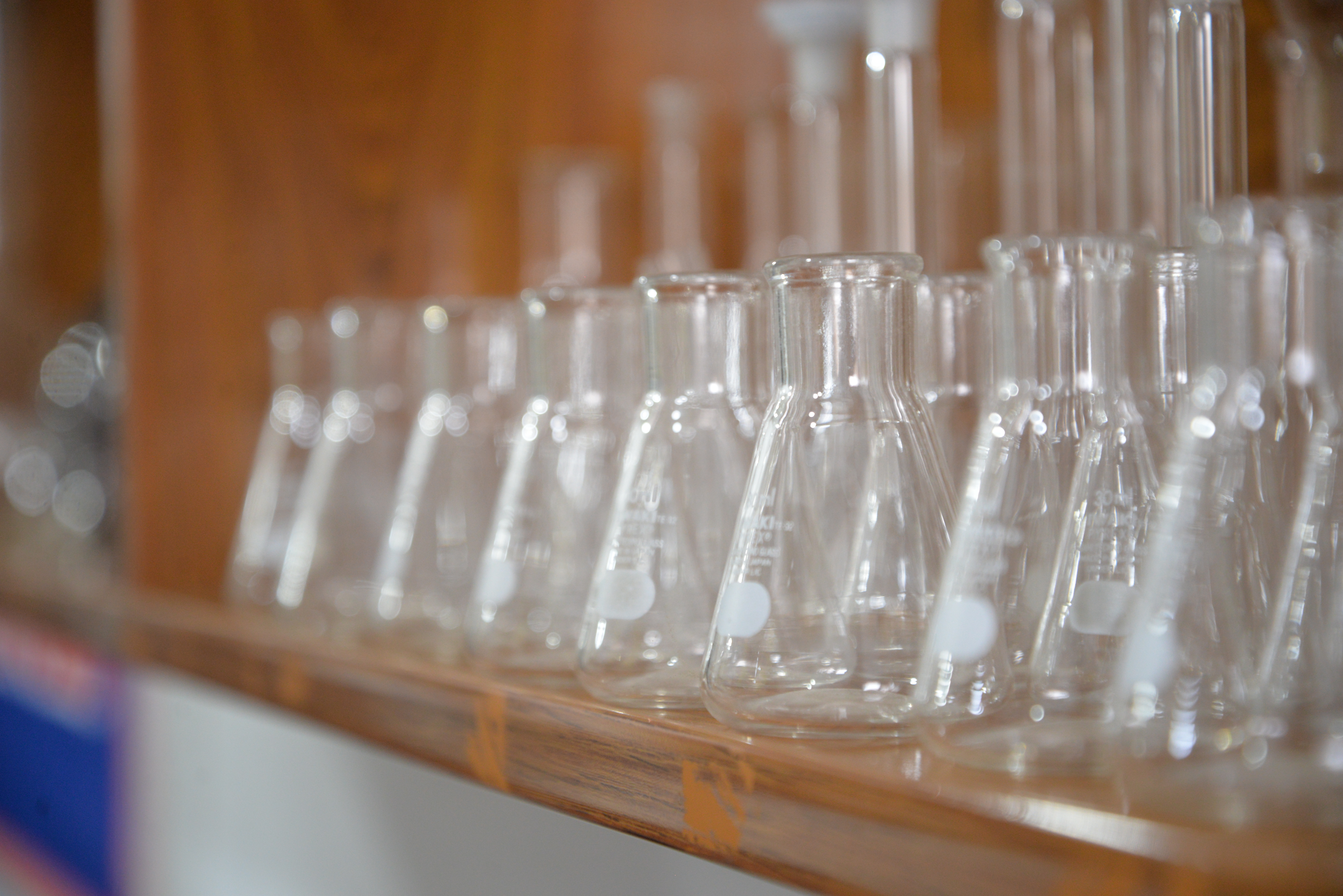 MLT Lab 1